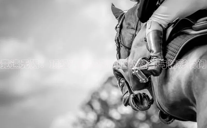 尊龙官方app下载