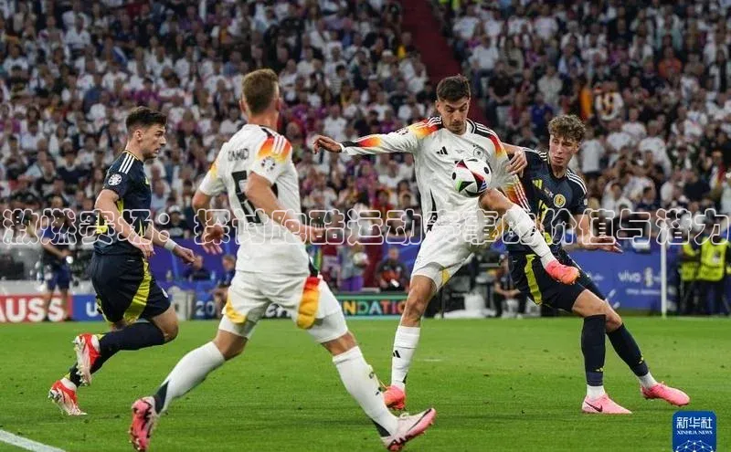 尊龙凯时人生就是搏z6com